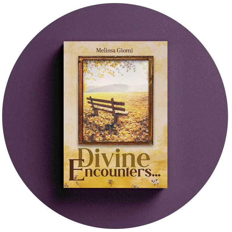 Book Cover Design Divine Encounters